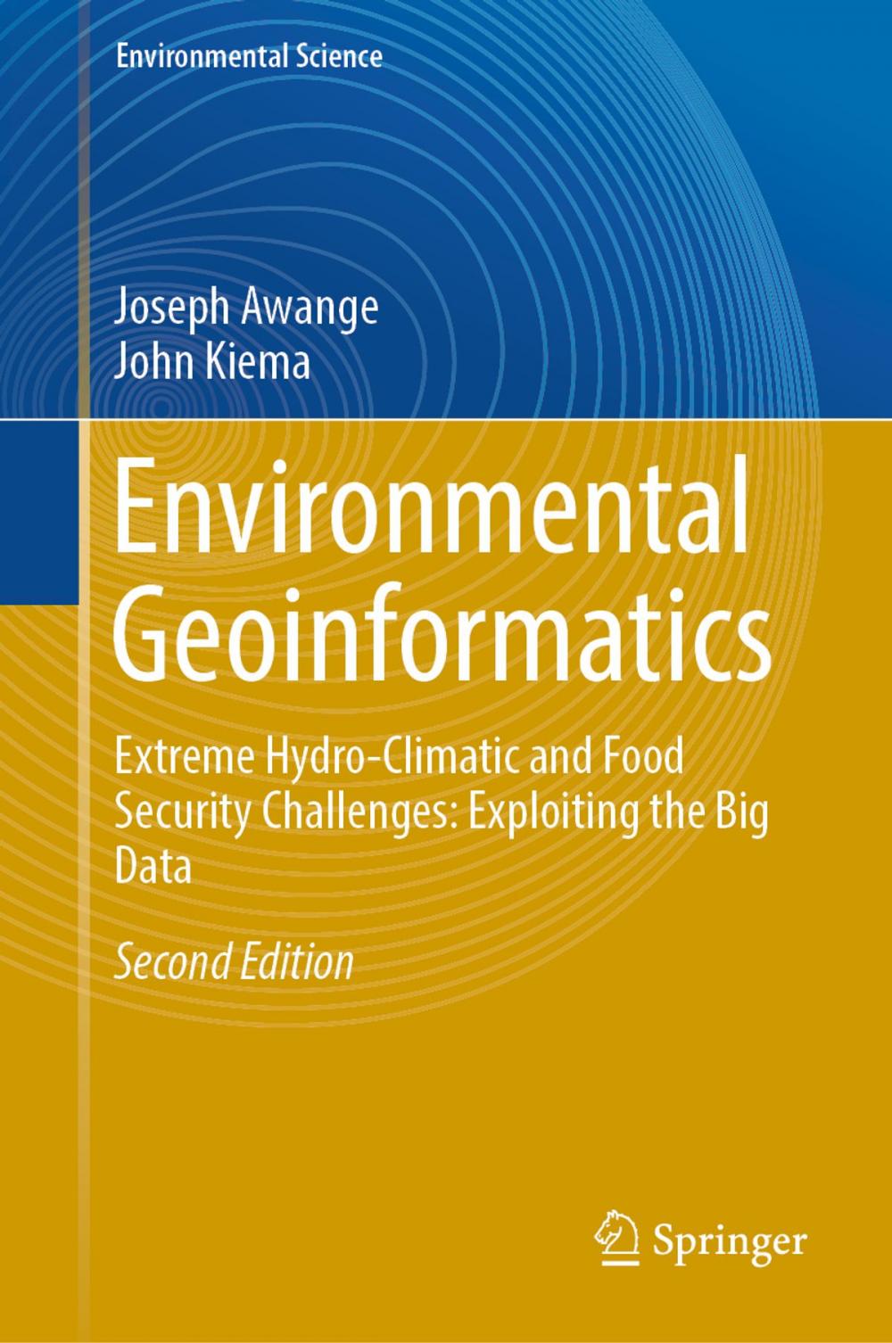 Big bigCover of Environmental Geoinformatics