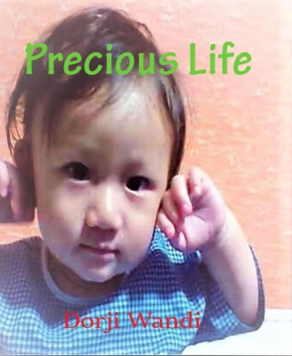 Big bigCover of The Precious Life