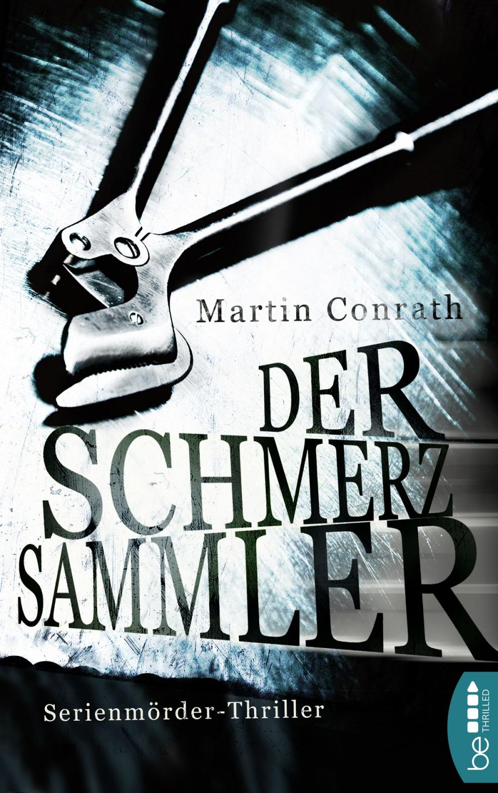 Big bigCover of Der Schmerzsammler