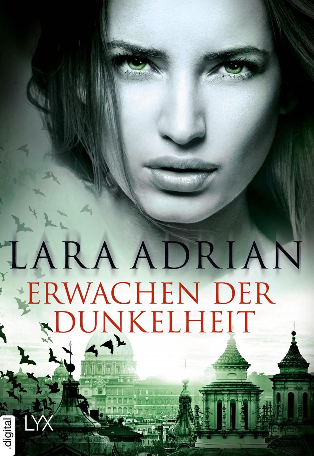 Big bigCover of Erwachen der Dunkelheit