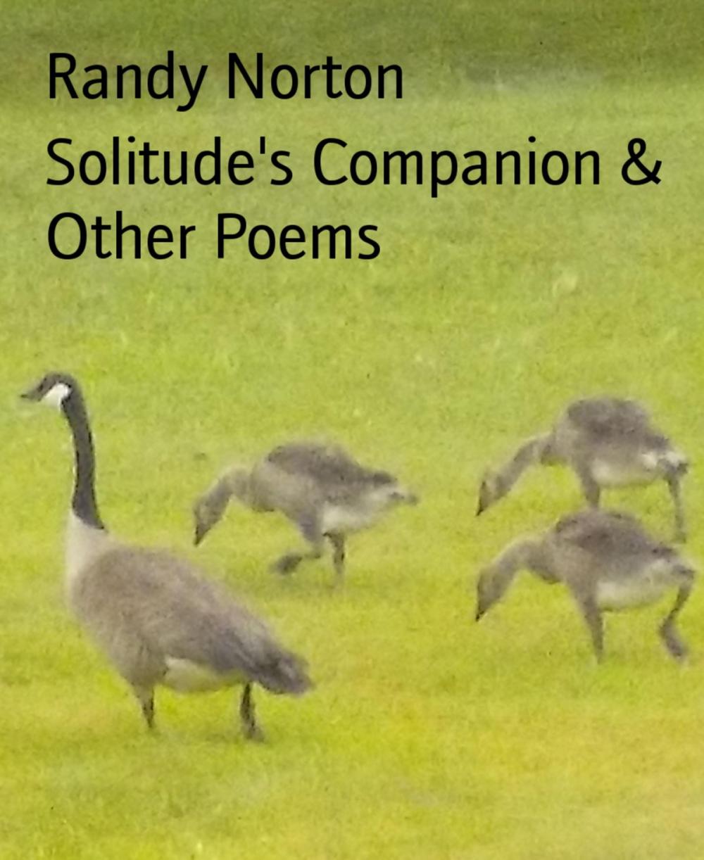 Big bigCover of Solitude's Companion & Other Poems