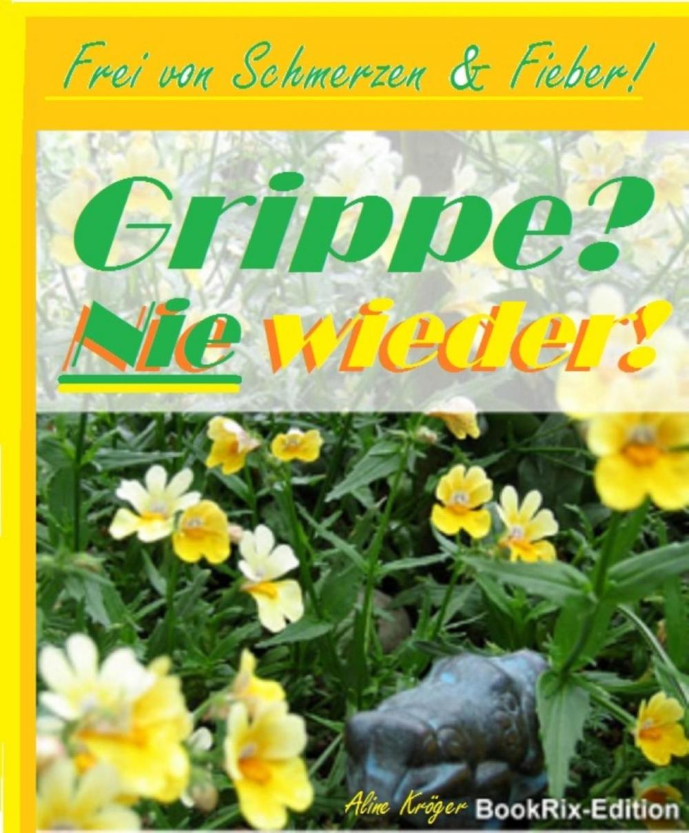 Big bigCover of Grippe? Nie wieder!