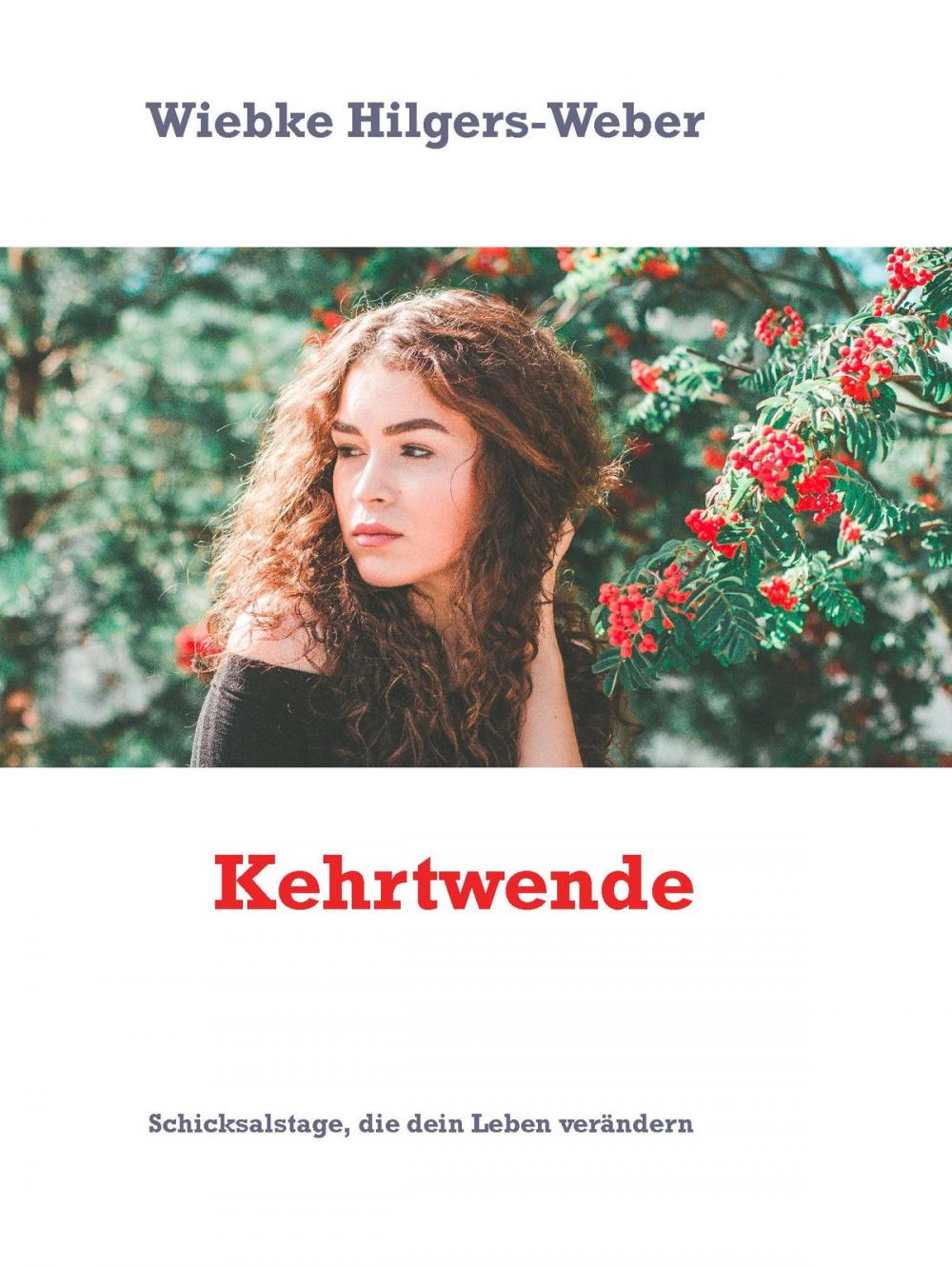 Big bigCover of Kehrtwende