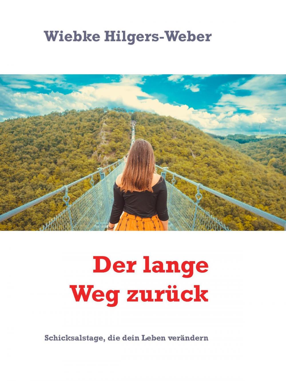 Big bigCover of Der lange Weg zurück