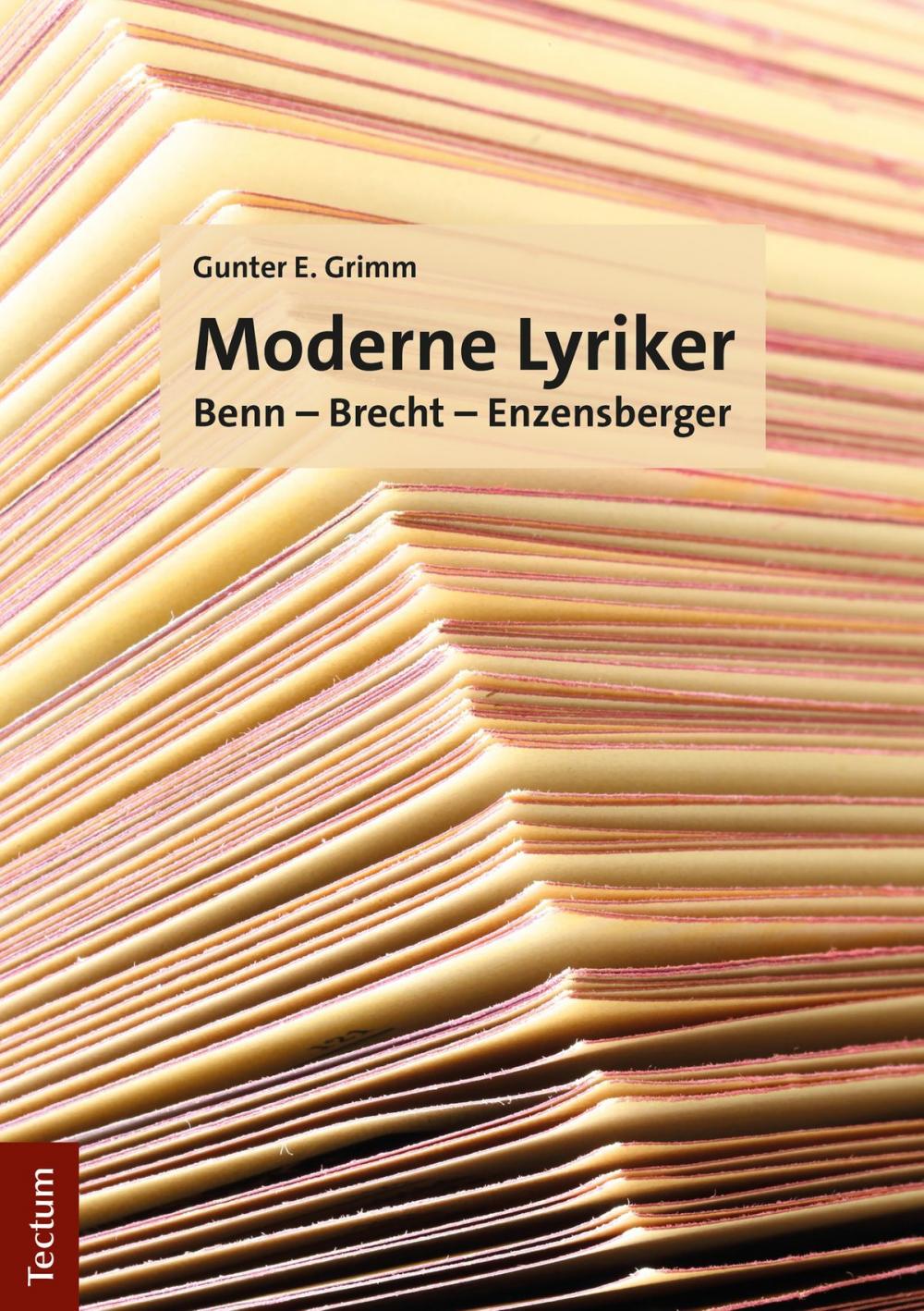 Big bigCover of Moderne Lyriker