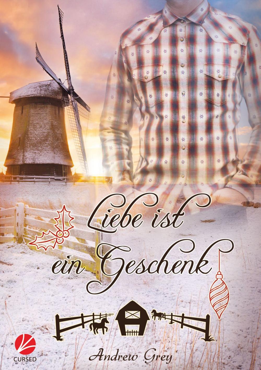 Big bigCover of Liebe ist ein Geschenk