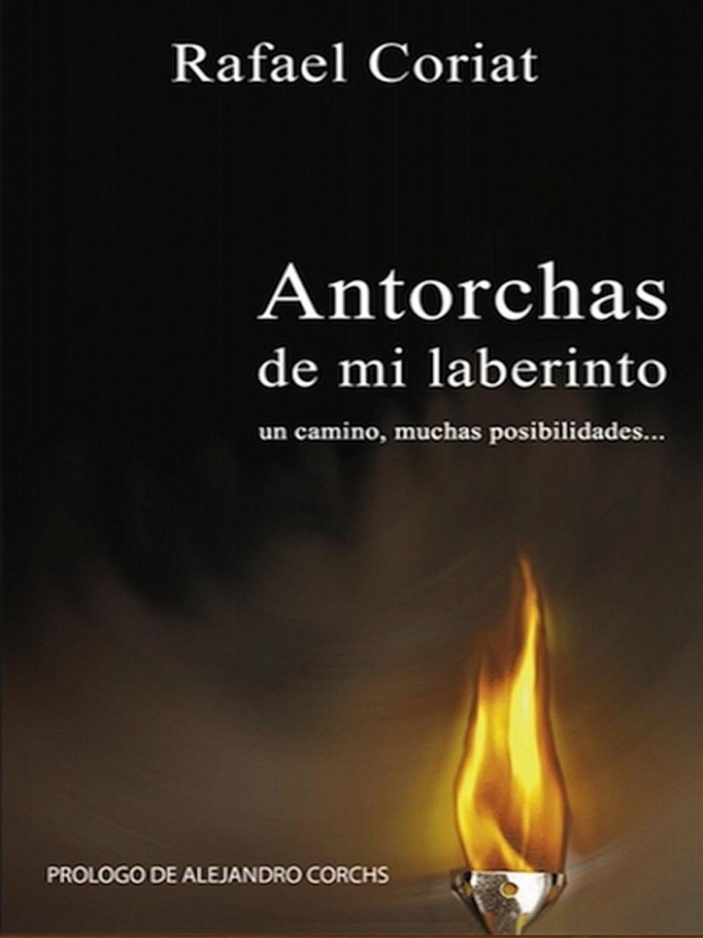 Big bigCover of Antorchas de mi Laberinto