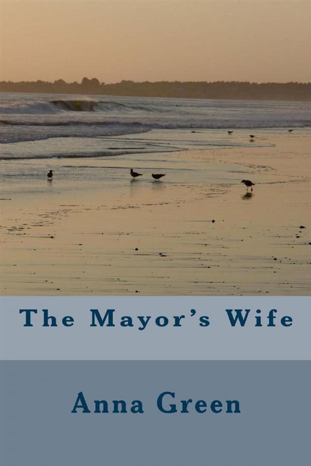 Big bigCover of The Mayor's Wife