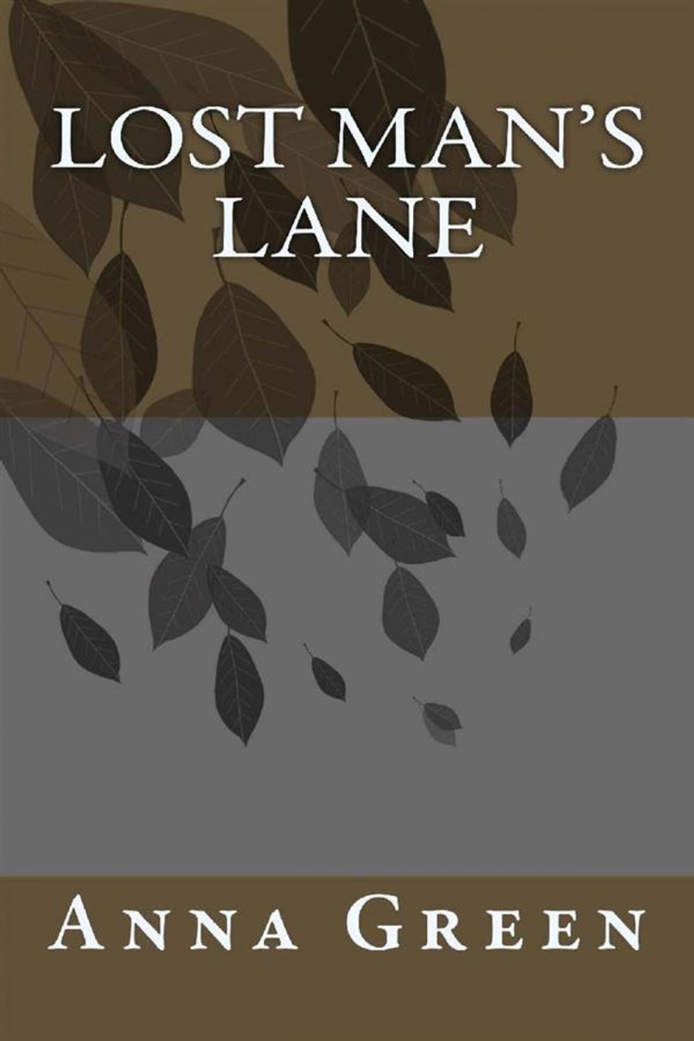 Big bigCover of Lost Man Lane