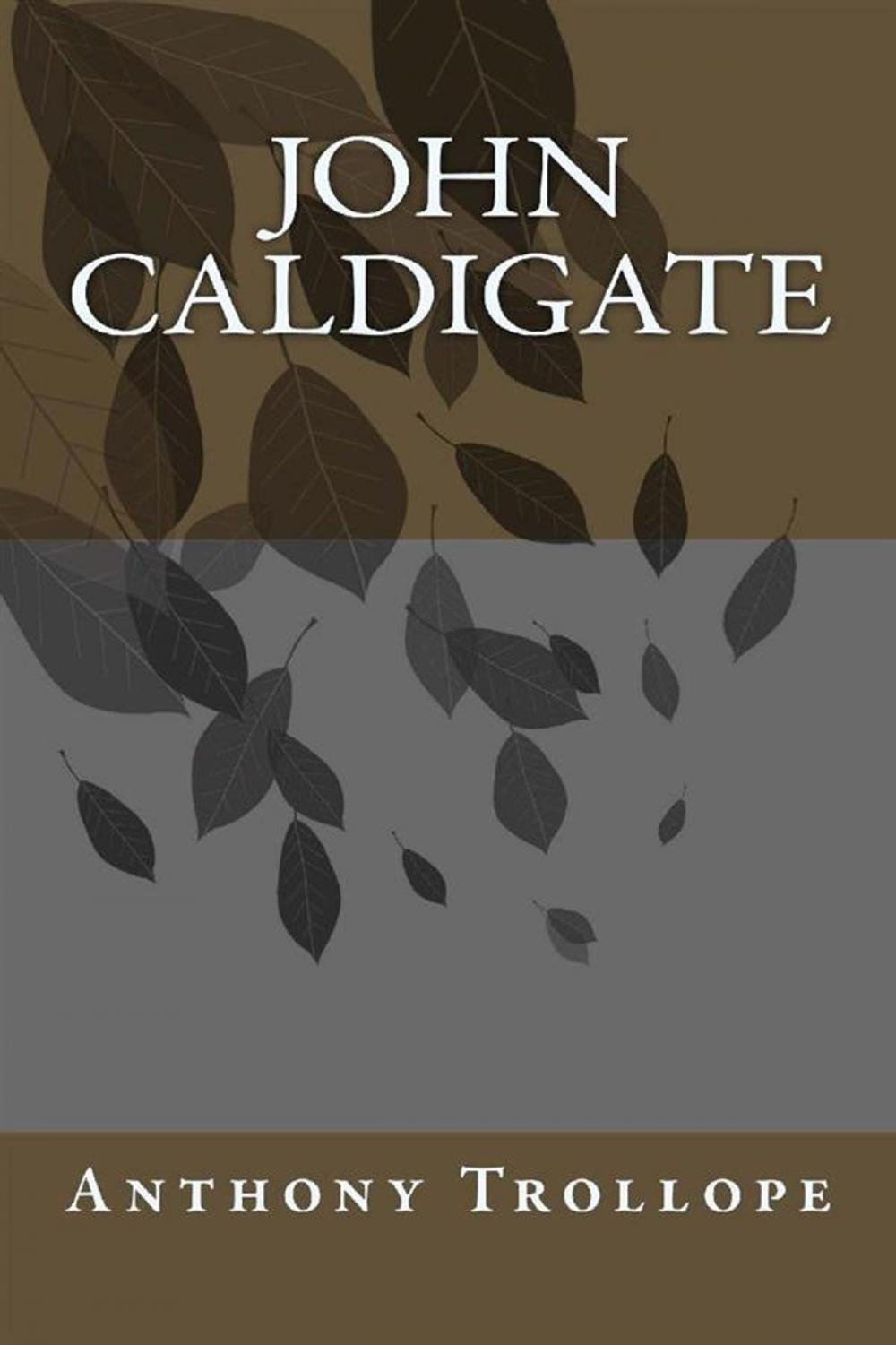 Big bigCover of John Caldigate