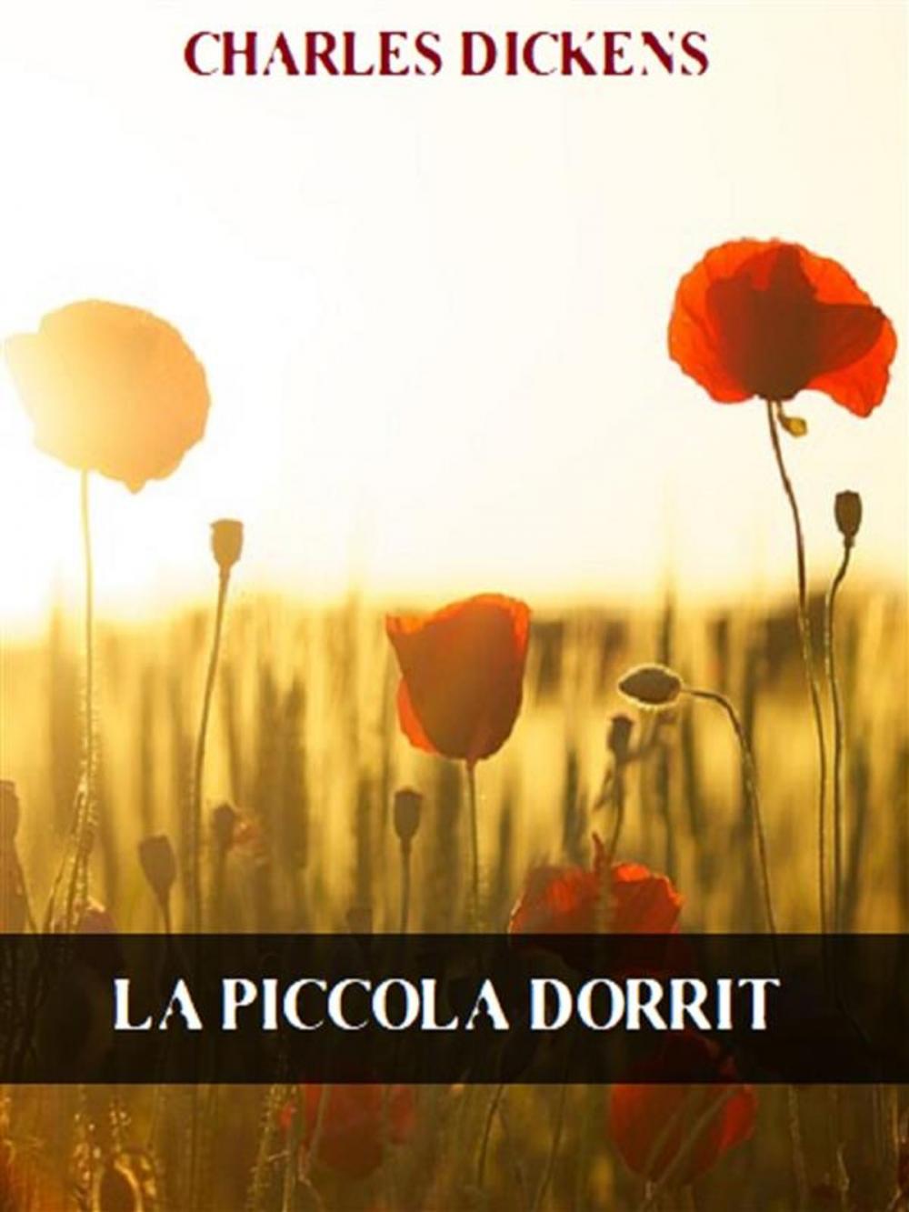 Big bigCover of La piccola Dorrit