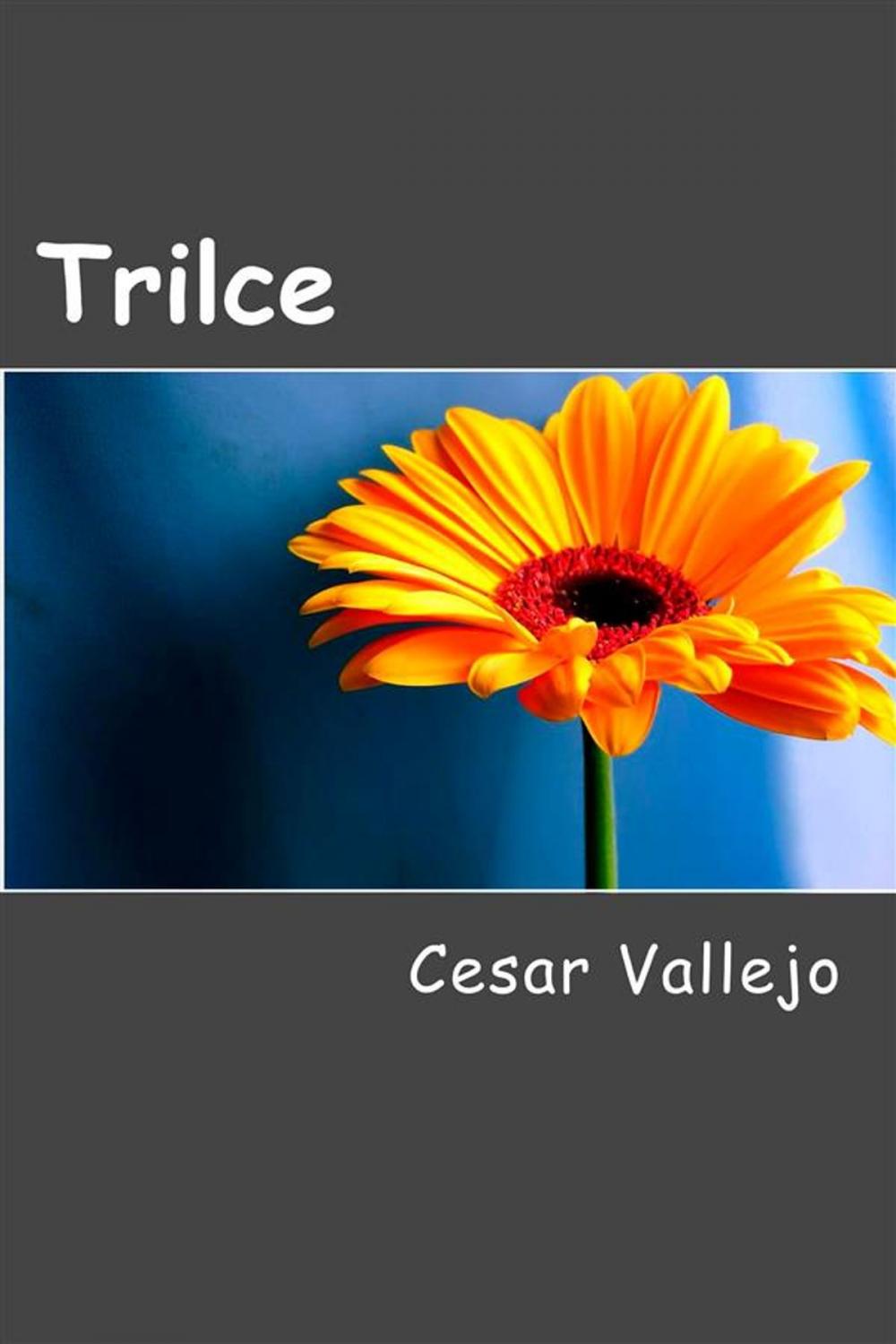 Big bigCover of Trilce