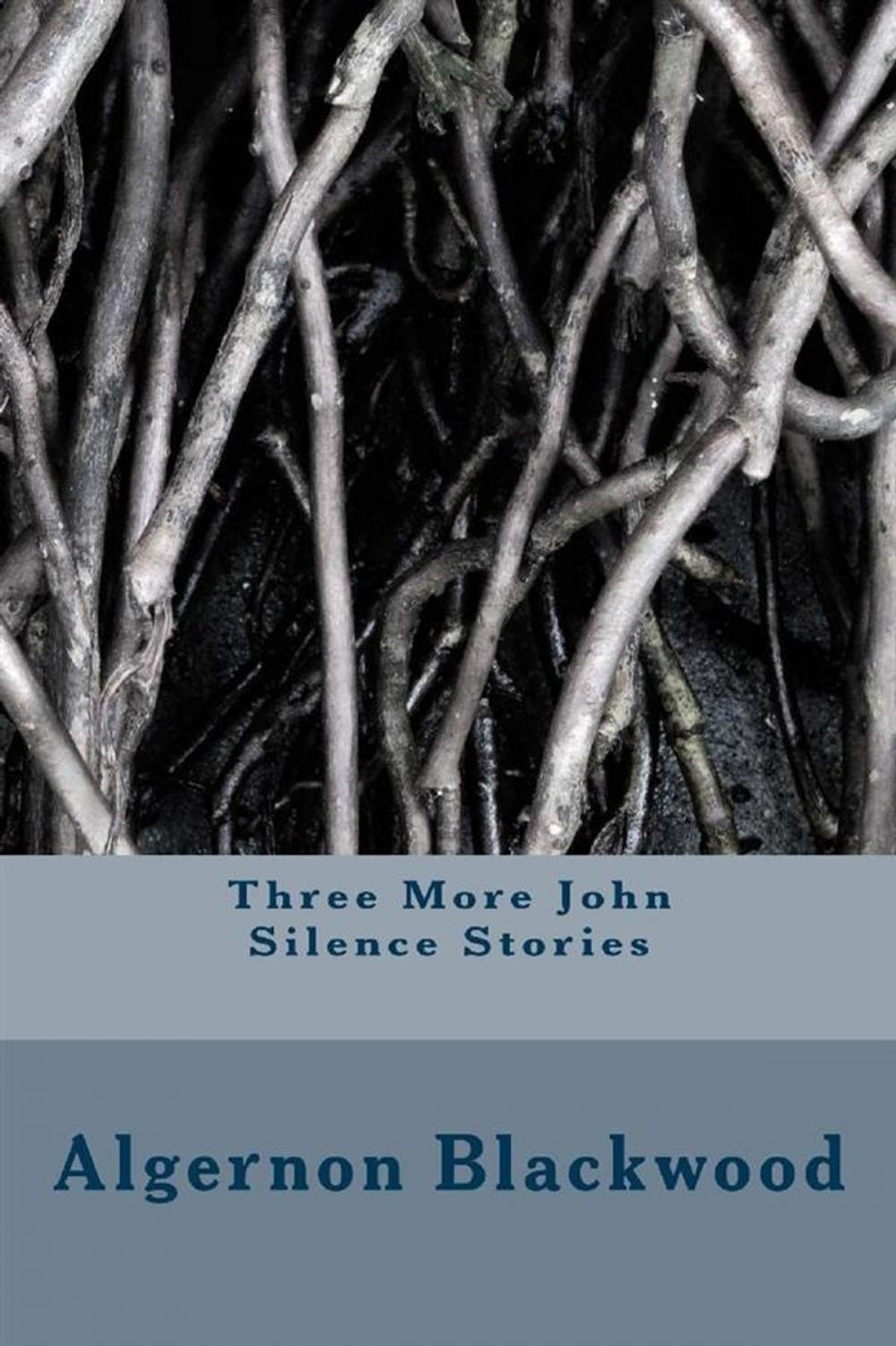 Big bigCover of Three More John Silence Stories