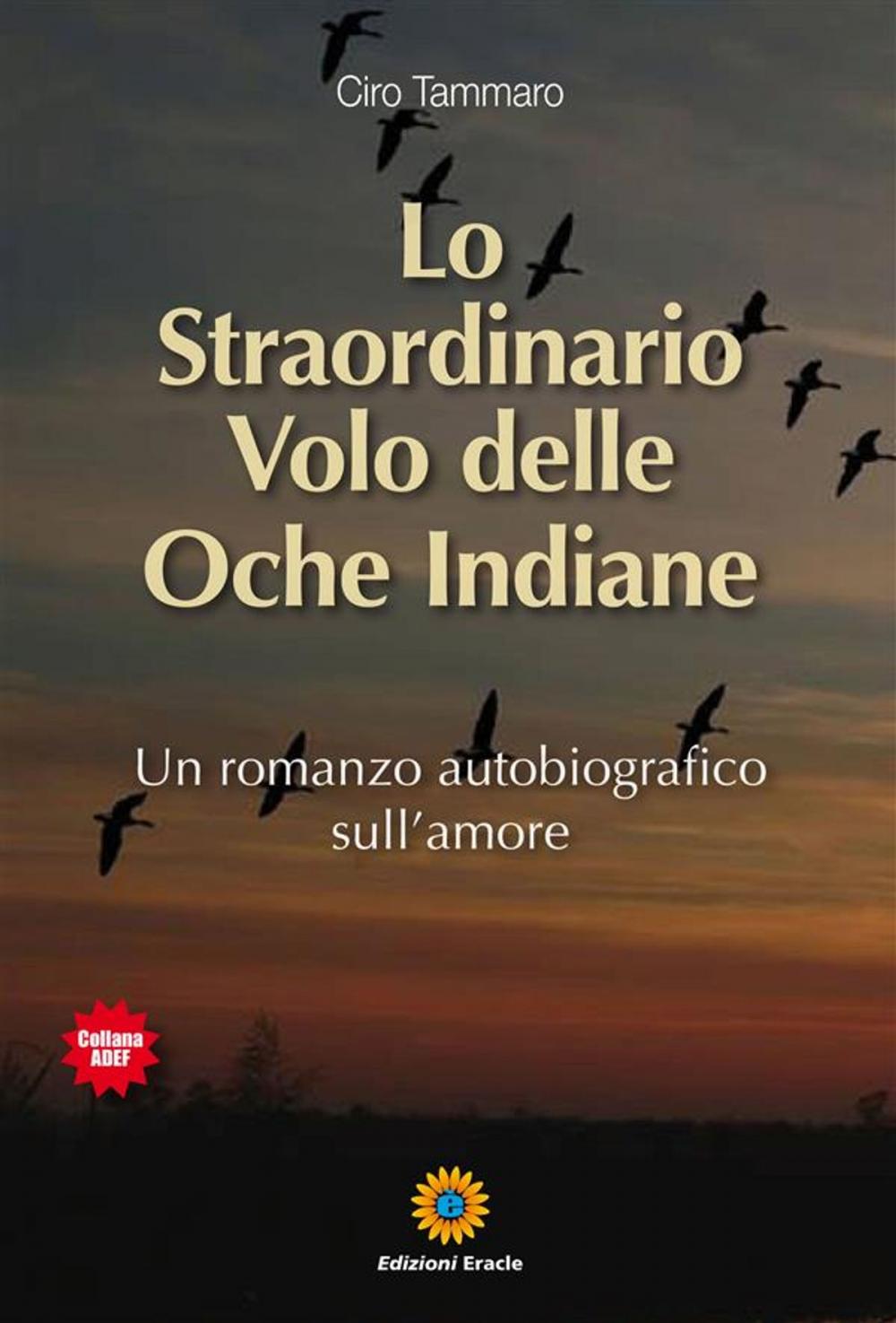 Big bigCover of Lo Straordinario Volo delle Oche Indiane