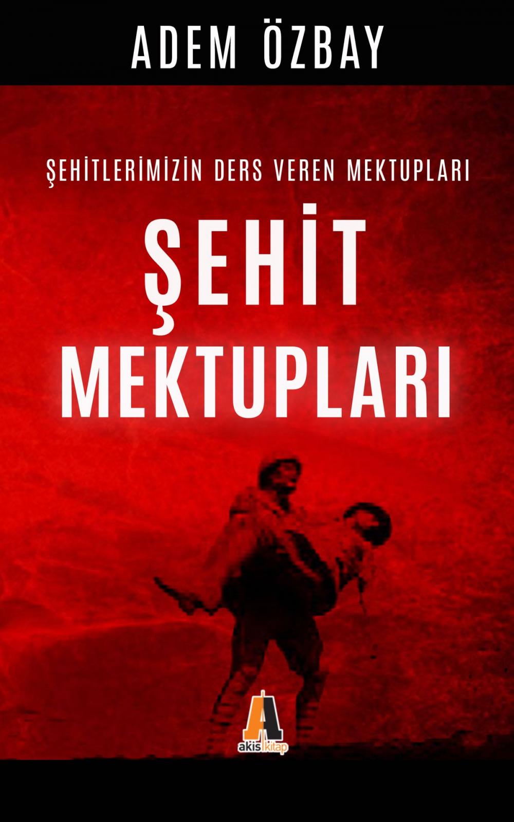 Big bigCover of Şehit Mektupları