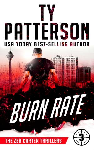 Cover of the book Burn Rate by M.R. Neer