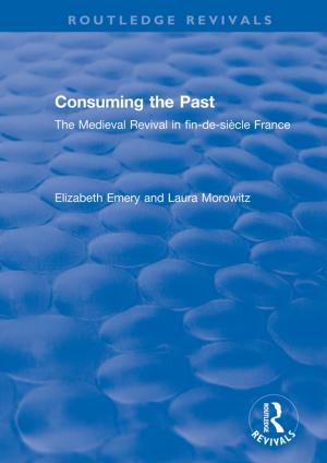 Book cover of Consuming the Past