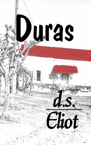 Cover of the book Duras by Franklin D. Lincoln