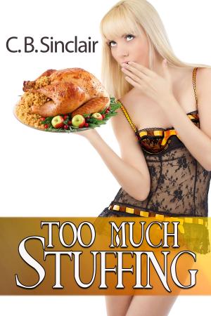 Cover of the book Too Much Stuffing by H. S. Stone