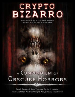 Cover of the book Crypto Bizarro by Rachel Jordan
