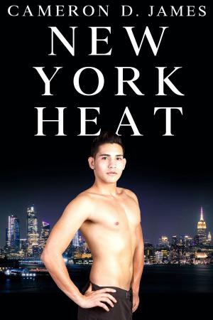 bigCover of the book New York Heat by 
