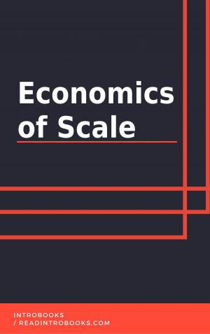 bigCover of the book Economics of Scale by 
