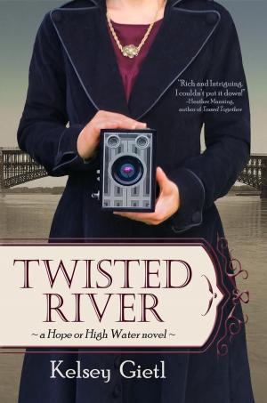 Cover of the book Twisted River by Mary Stickel