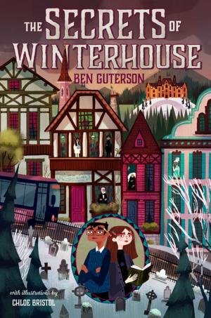Cover of the book The Secrets of Winterhouse by Anita Valle