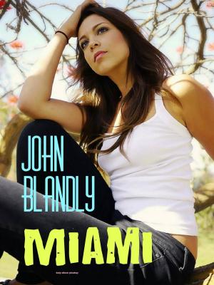 Cover of the book Miami by Robert J. Duperre, David Dalglish, JL Bryan