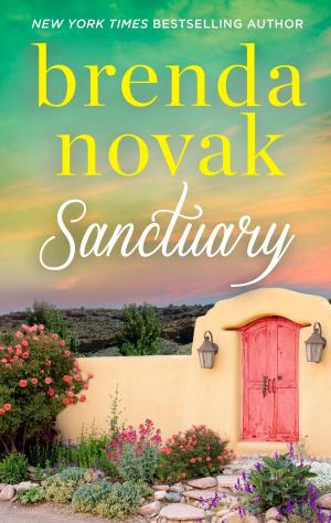 Cover of the book Sanctuary by Delores Fossen