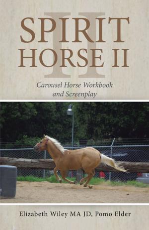 Book cover of Spirit Horse Ii