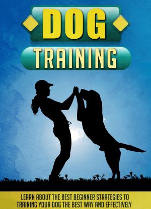 Cover of the book Dog Training Learn About The Best Beginner Strategies To Training Your Dog The Best Way And Effectively by Old Natural Ways, Rebecca Hartman