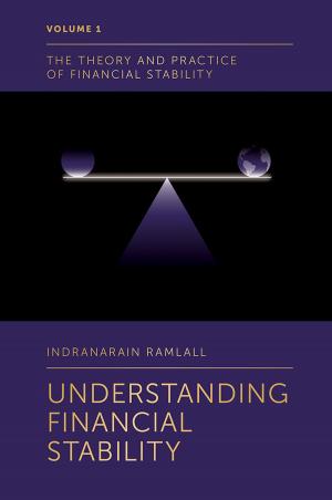 Cover of the book Understanding Financial Stability by Rodolphe Durrand, Nina Granqvist, Anna Tyllström