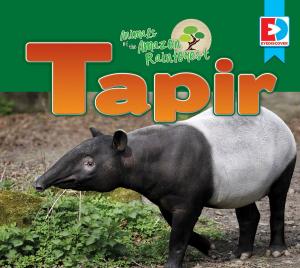 Cover of the book Animals of the Amazon Rainforest: Tapir by Terry Mason