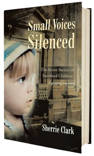 Book cover of SMALL VOICES SILENCED
