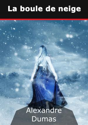Cover of the book La boule de neige by Sylvia Schwanz