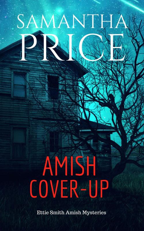 Cover of the book Amish Cover-Up by Samantha Price, Samantha Price