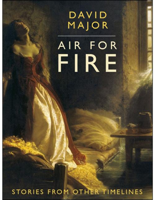 Cover of the book Air for Fire by David L. Major, Lulu.com