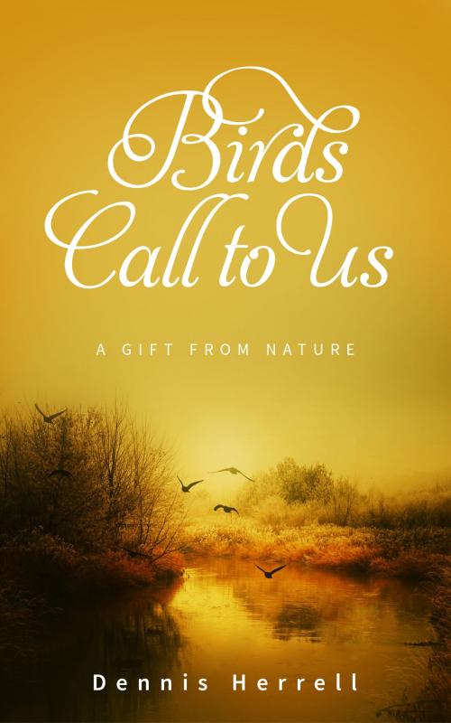 Cover of the book Birds Call to Us by Dennis Herrell, Dennis Herrell