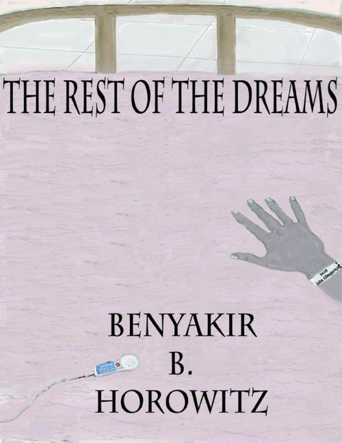 Cover of the book The Rest of the Dreams by Benyakir B. Horowitz, The St. Bridged Vineyard Press