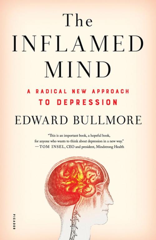 Cover of the book The Inflamed Mind by Edward Bullmore, Picador