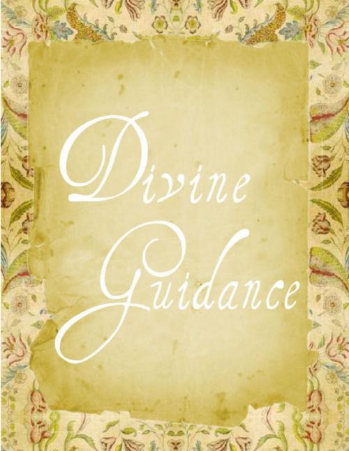 Cover of the book Divine Guidance by Elizabeth Angela, Lulu.com