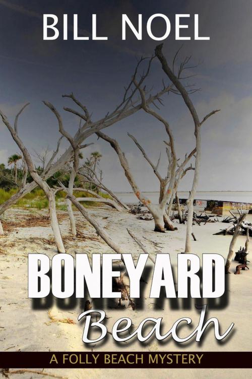 Cover of the book Boneyard Beach by Bill Noel, Enigma House Press