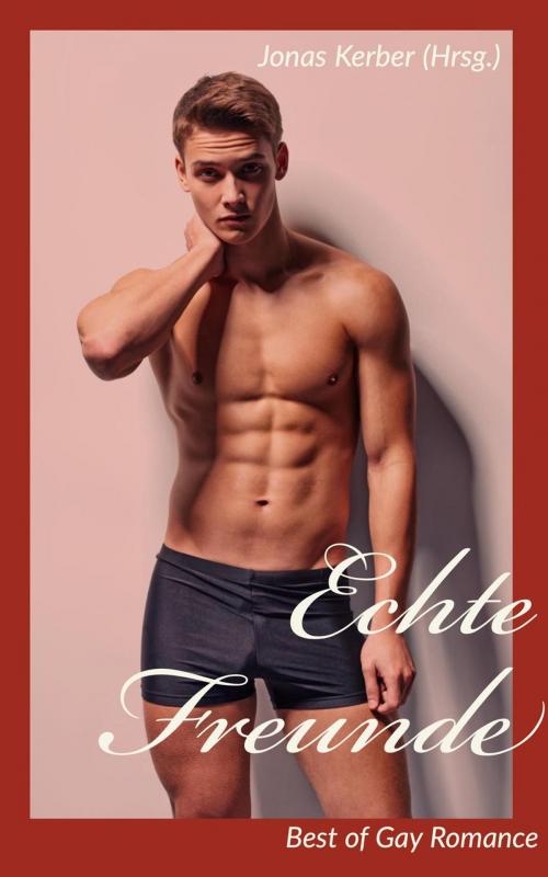 Cover of the book Echte Freunde - Best of Gay Romance by Jonas Kerber, Intimate Dreams