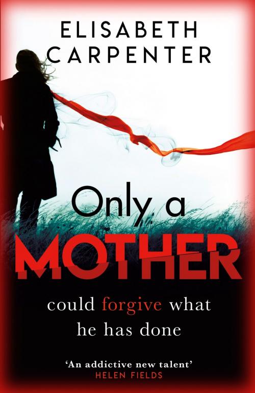 Cover of the book Only a Mother by Elisabeth Carpenter, Orion Publishing Group