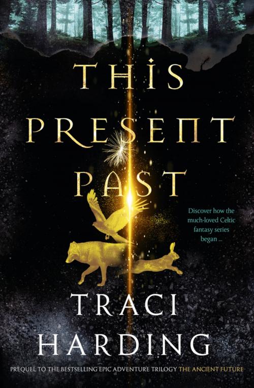 Cover of the book This Present Past by Traci Harding, Voyager