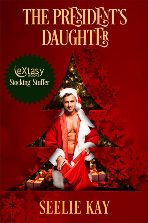 Cover of the book The President's Daughter by Seelie Kay, eXtasy Books Inc