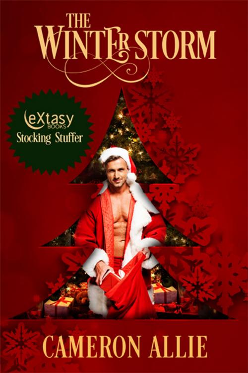 Cover of the book The Winter Storm by Cameron Allie, eXtasy Books Inc