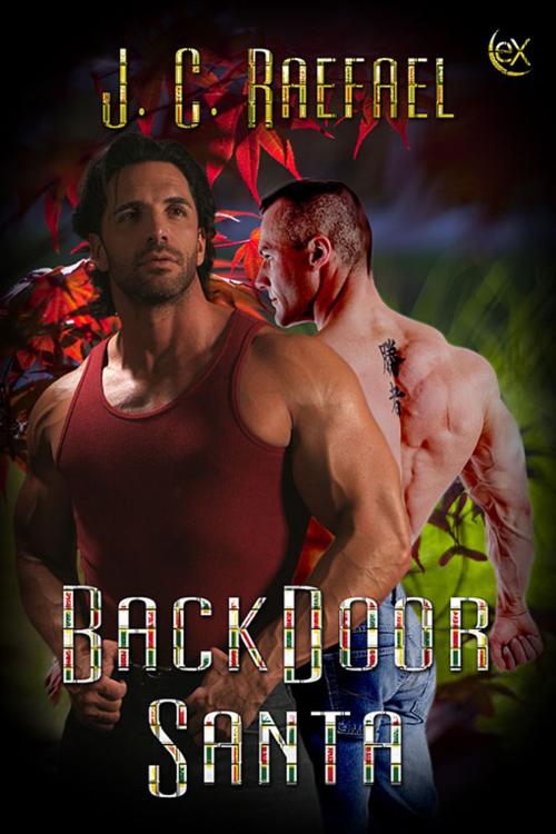 Cover of the book Backdoor Santa by JC Raefael, eXtasy Books Inc