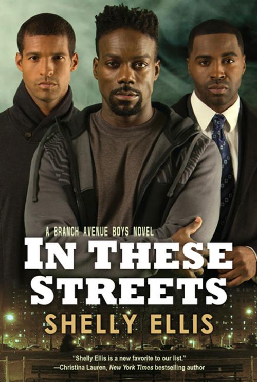 Cover of the book In These Streets by Shelly Ellis, Kensington Books